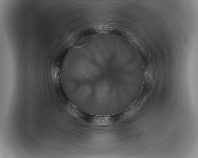 X0000116490671200912161320