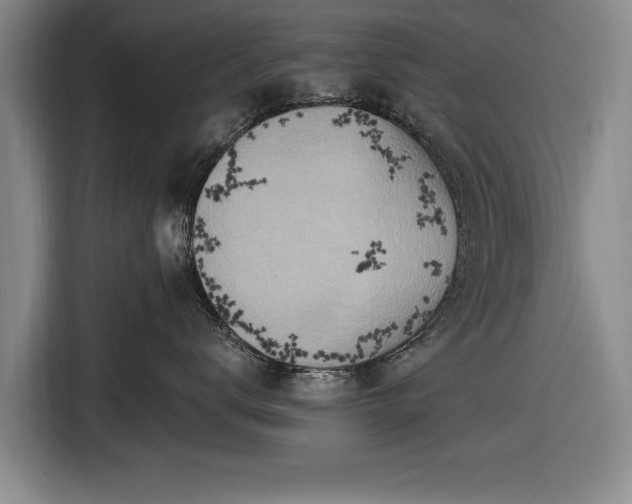 X0000116490672200912161320