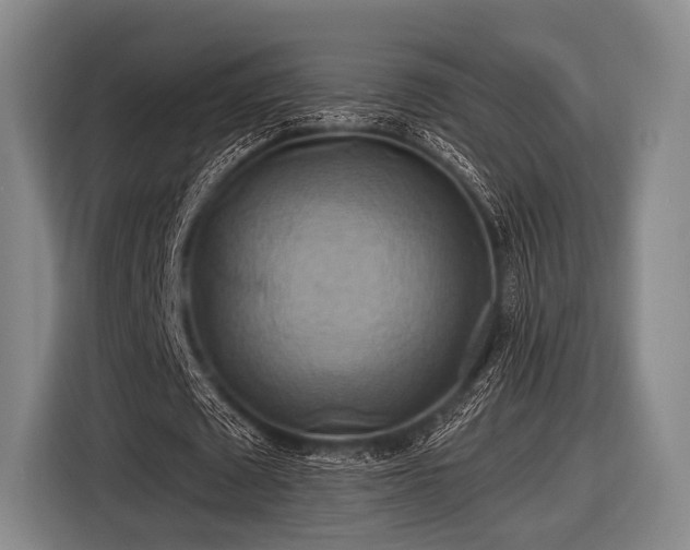 X0000116490673200912161319