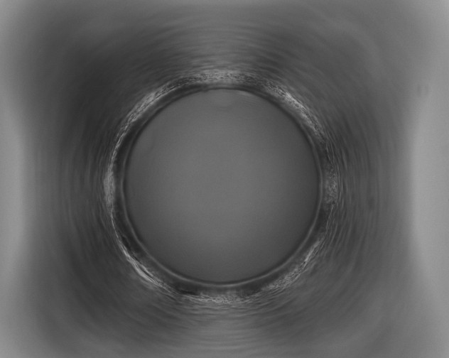 X0000116490674200912161319