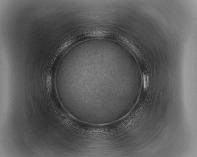 X0000116490675200912161319