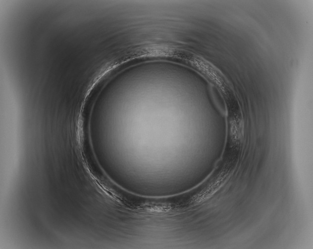 X0000116490676200912161319