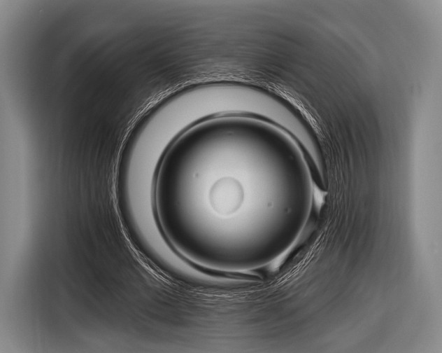 X0000116490677200912161319