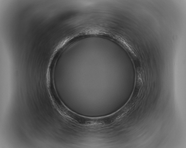 X0000116490678200912161319