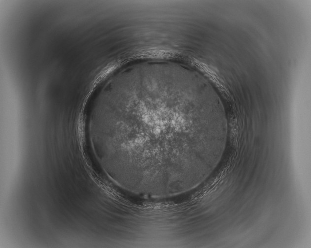 X0000116490679200912161319