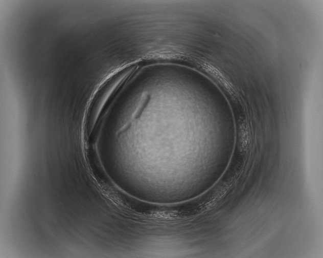 X0000116490680200912161319