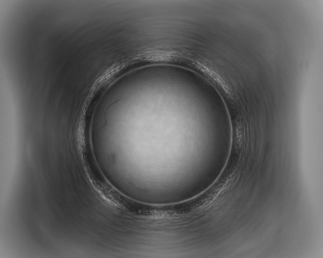 X0000116490682200912161319