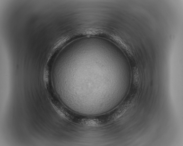 X0000116490683200912161319