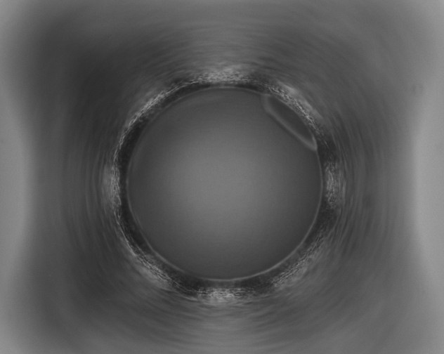 X0000116490684200912161319