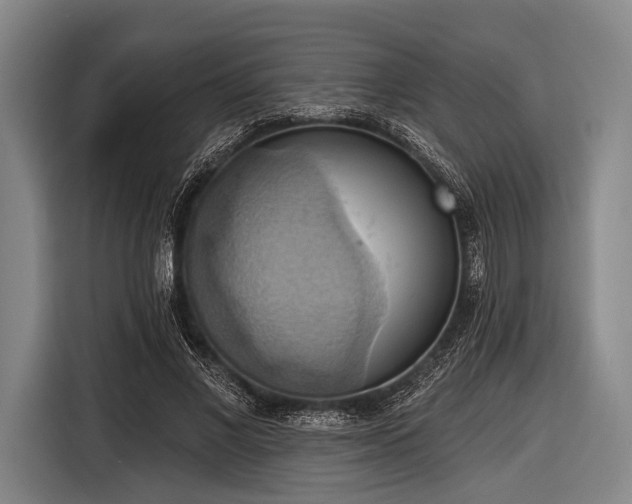 X0000116490685200912161319