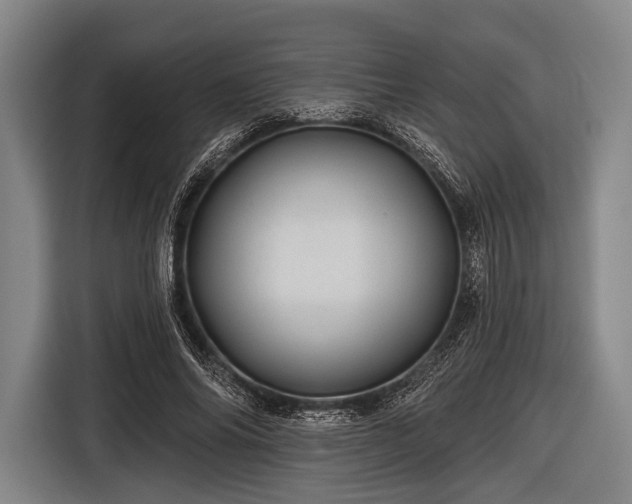 X0000116490686200912161319