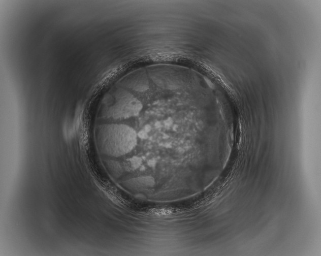 X0000116490687200912161319