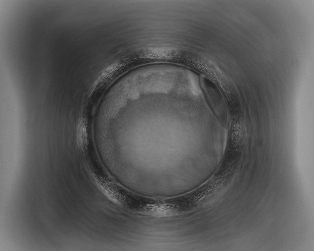 X0000116490688200912161319