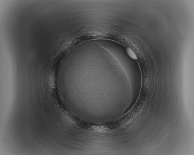 X0000116490689200912161319