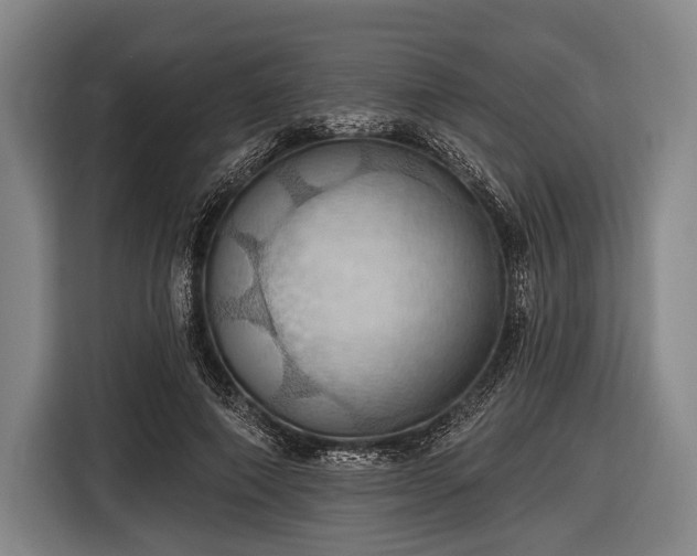 X0000116490690200912161319