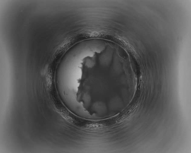 X0000116490691200912161319