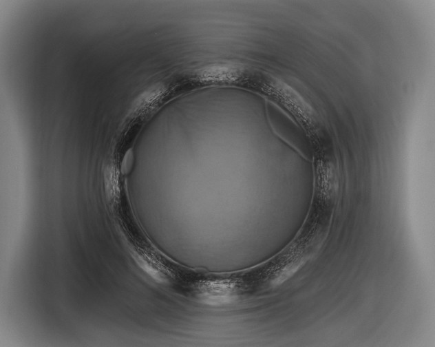 X0000116490692200912161319