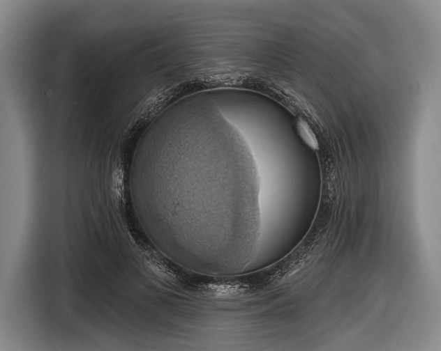 X0000116490693200912161319