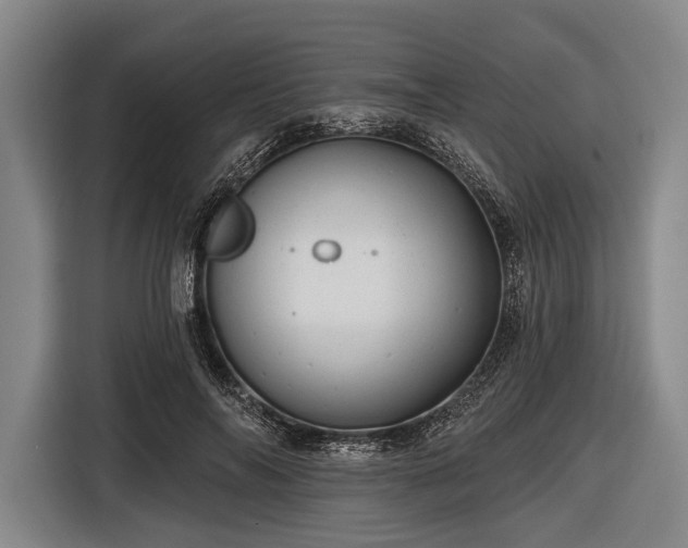 X0000116490694200912161319