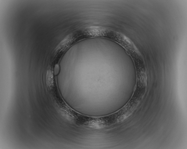 X0000116490696200912161319