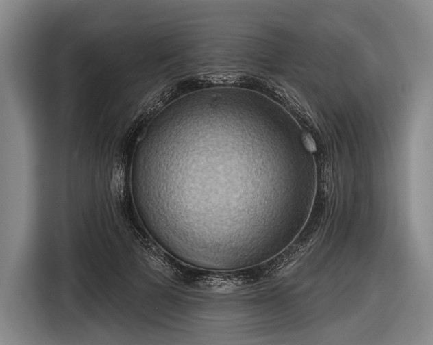 X0000116490697200912161319