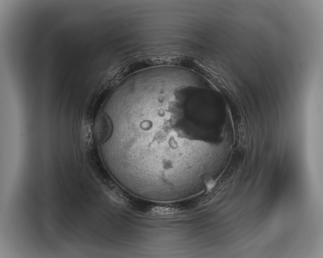 X0000116490699200912161319