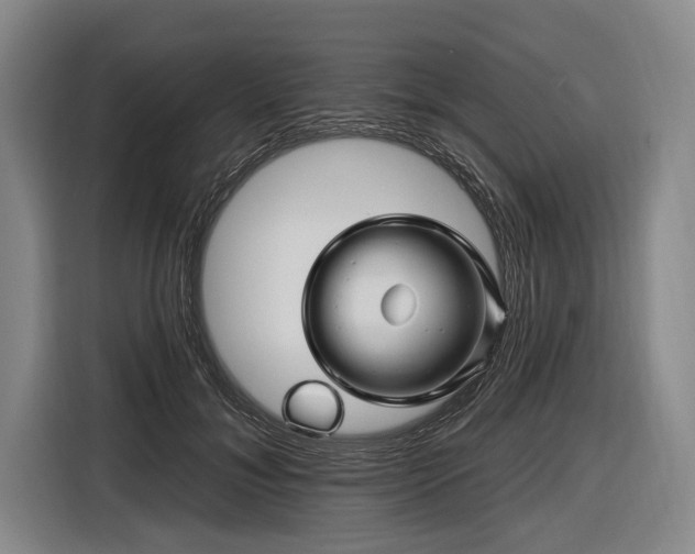 X0000116490700200912161319