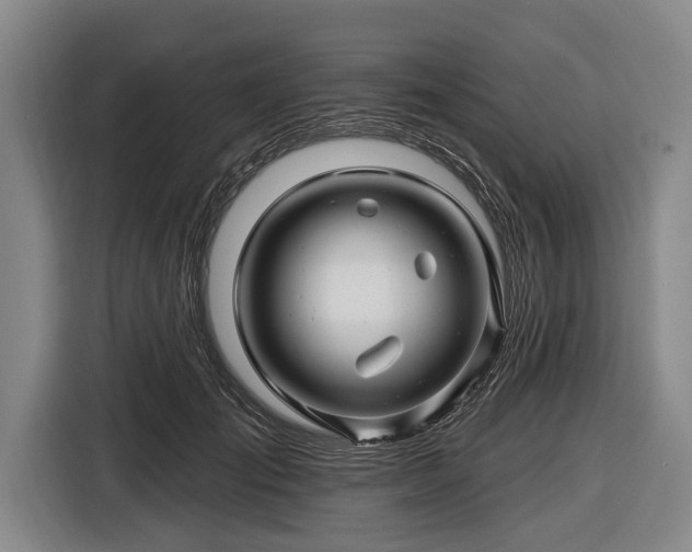 X0000116490701200912161319