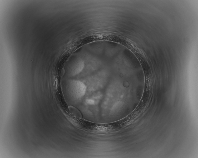 X0000116490703200912161319