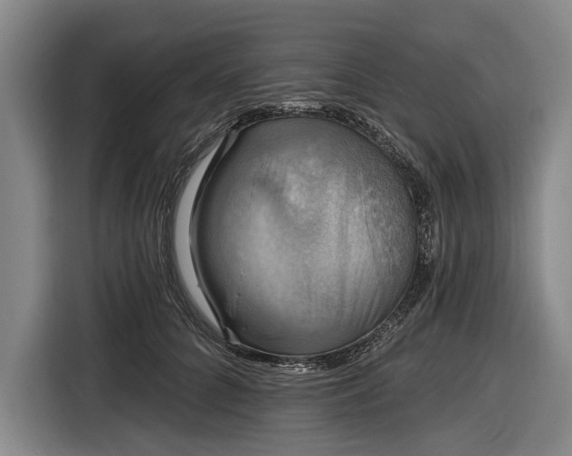 X0000116490704200912161319