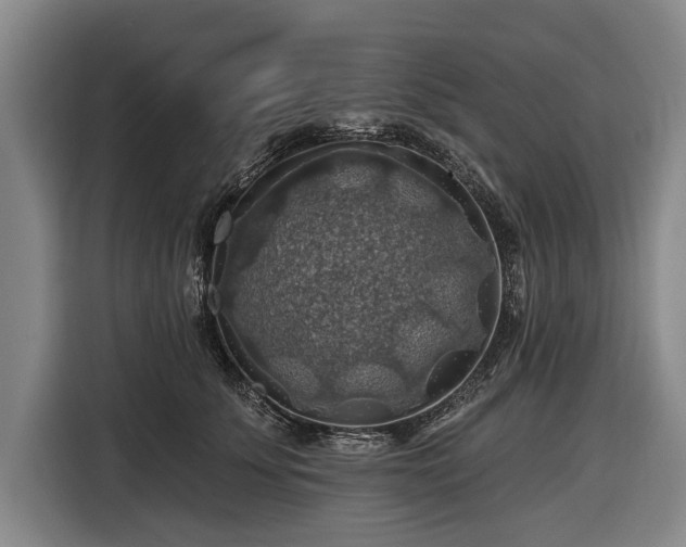 X0000116490707200912161319