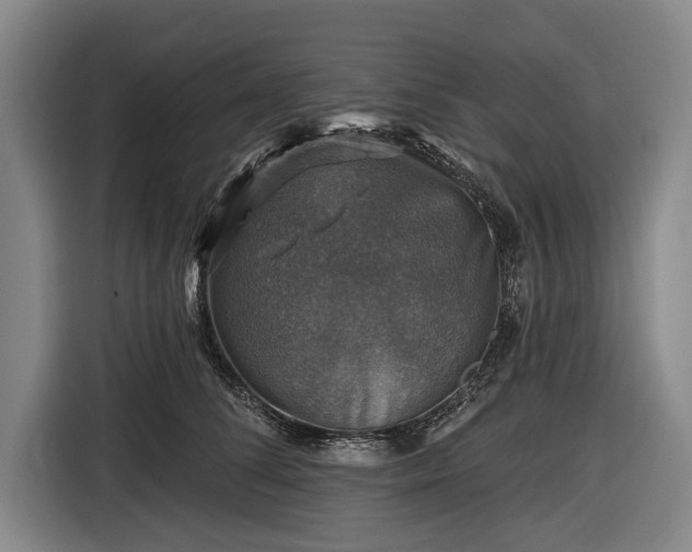 X0000116490708200912161319