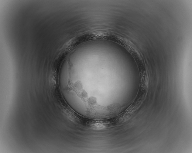 X0000116490710200912161319