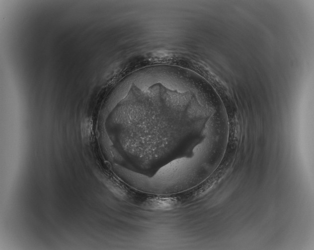 X0000116490711200912161319