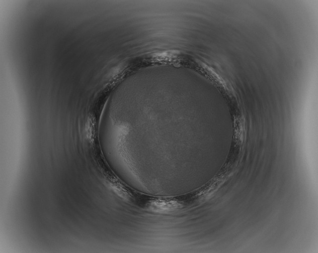 X0000116490712200912161319