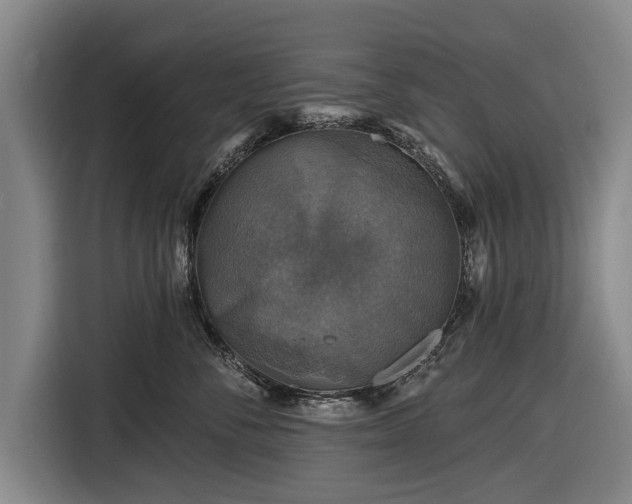 X0000116490716200912161318