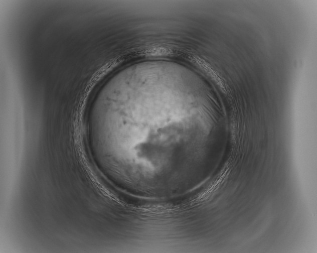 X0000116490721200912161318