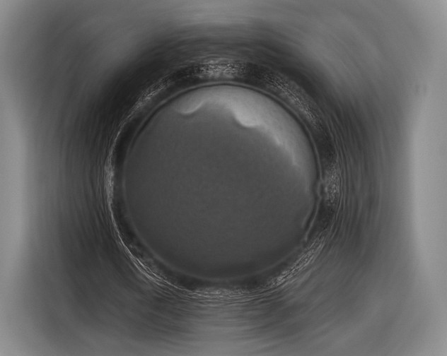 X0000116490722200912161318