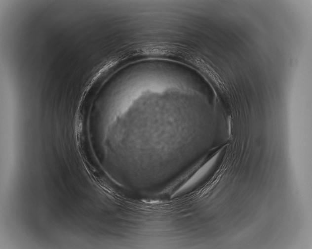 X0000116490723200912161318