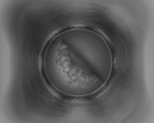 X0000116490725200912161318