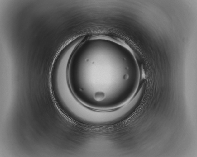 X0000116490726200912161318