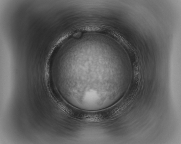 X0000116490727200912161318