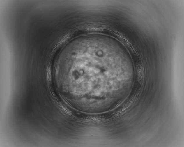 X0000116490729200912161318