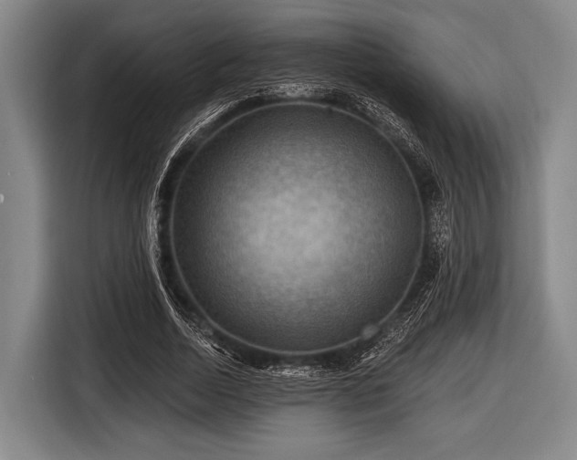 X0000116490730200912161318