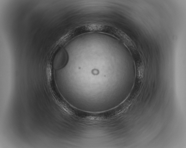 X0000116490733200912161318