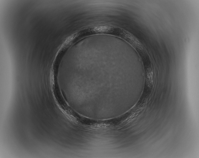 X0000116490734200912161318