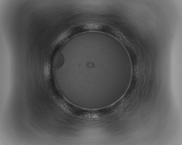 X0000116490735200912161318