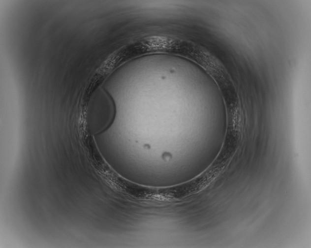 X0000116490737200912161318