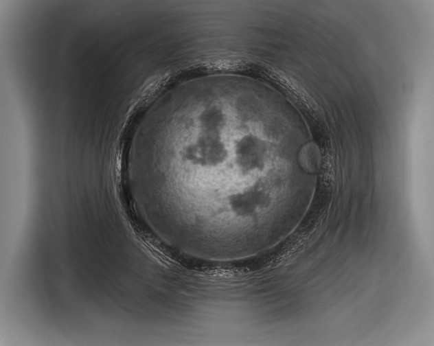 X0000116490738200912161318