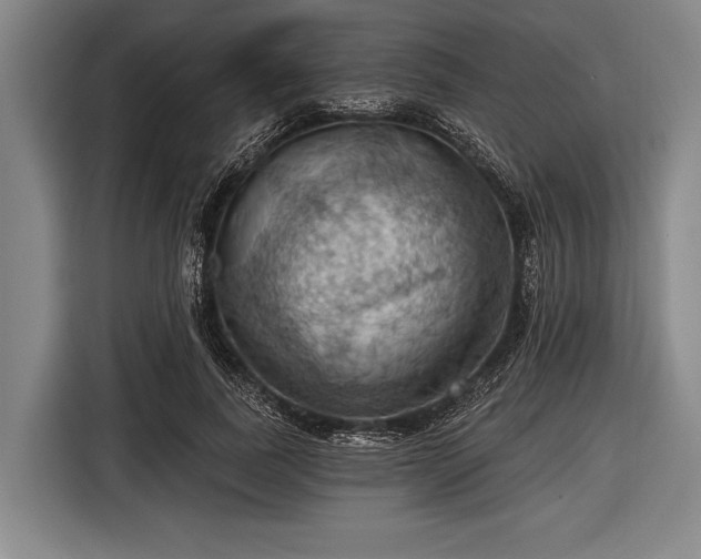 X0000116490739200912161318